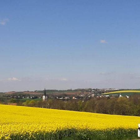 Ferienwohnung im grünen Muldental Langenbach  Exterior foto